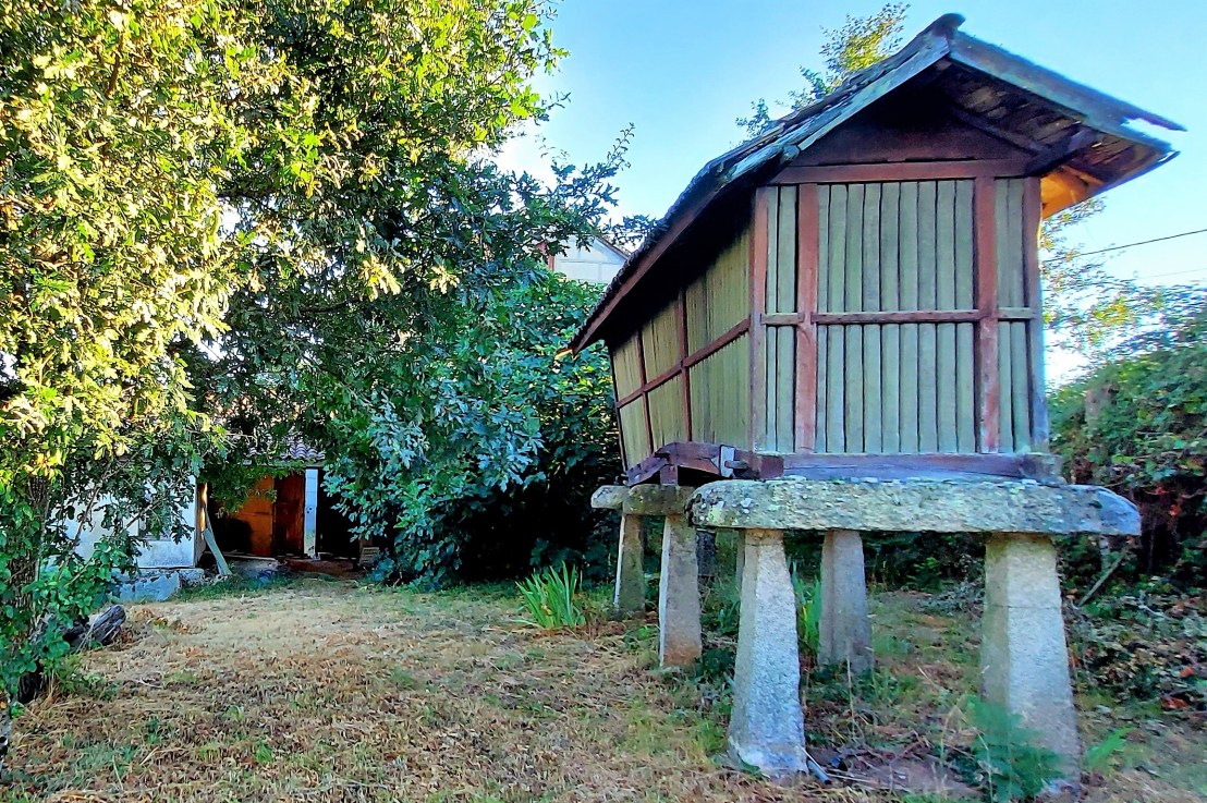 Canastros de Parderrubias