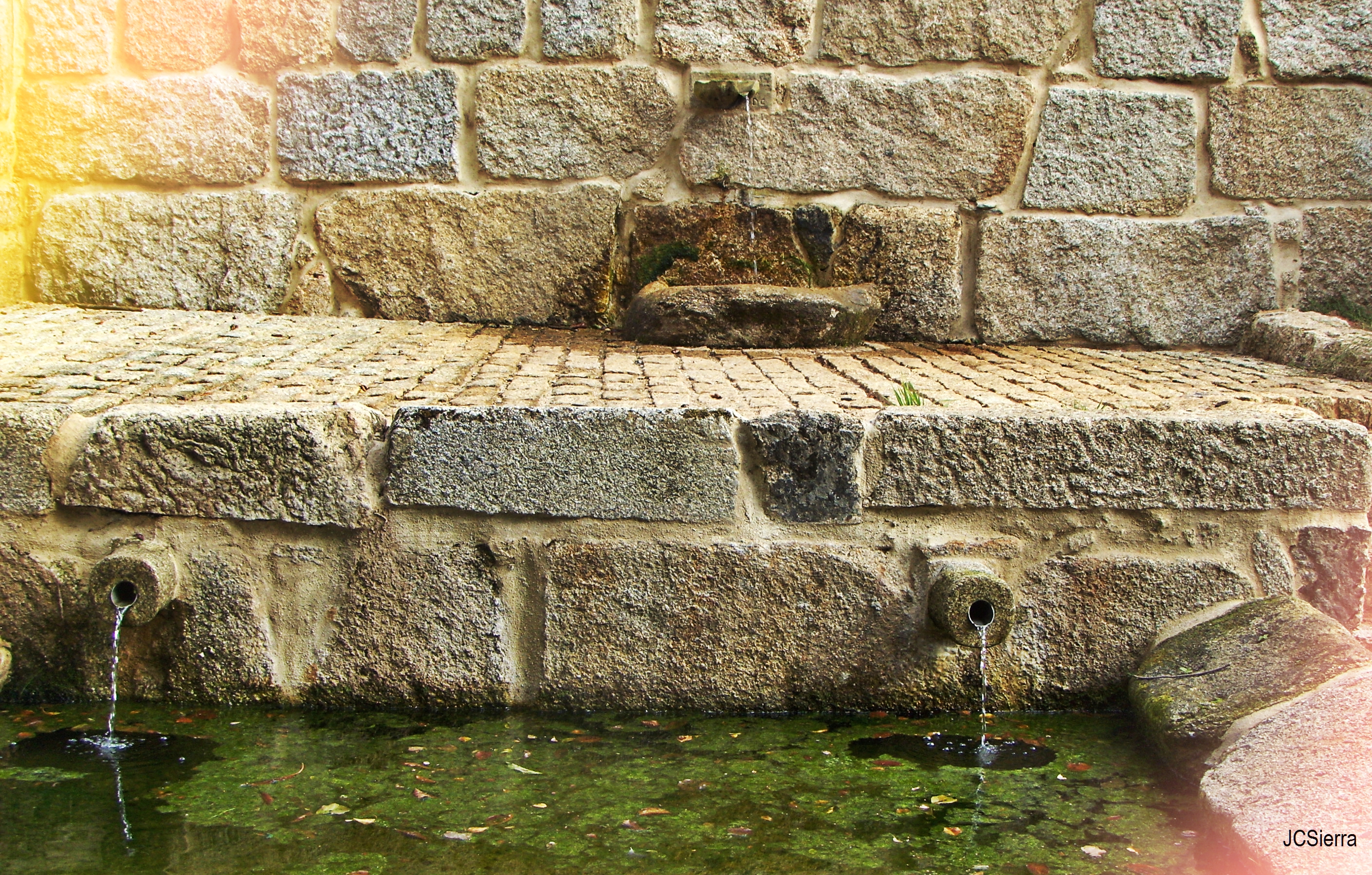 My beautiful picture