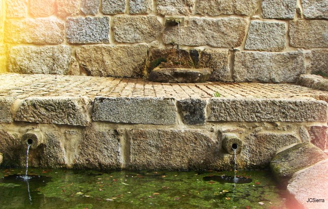 My beautiful picture