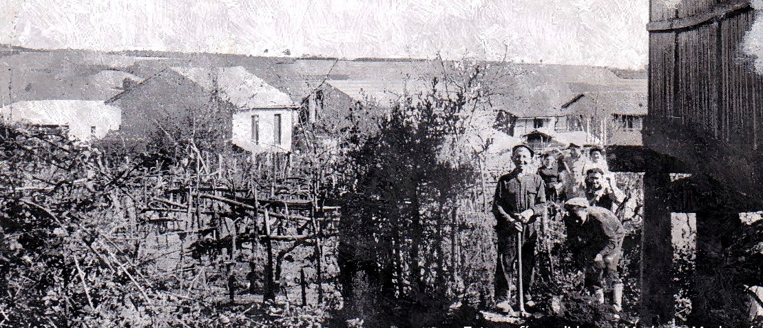 Parderrubias en los años 60, 70 y 80: un análisis sociodemográfico. Por Juan Carlos Sierra&nbsp;Freire