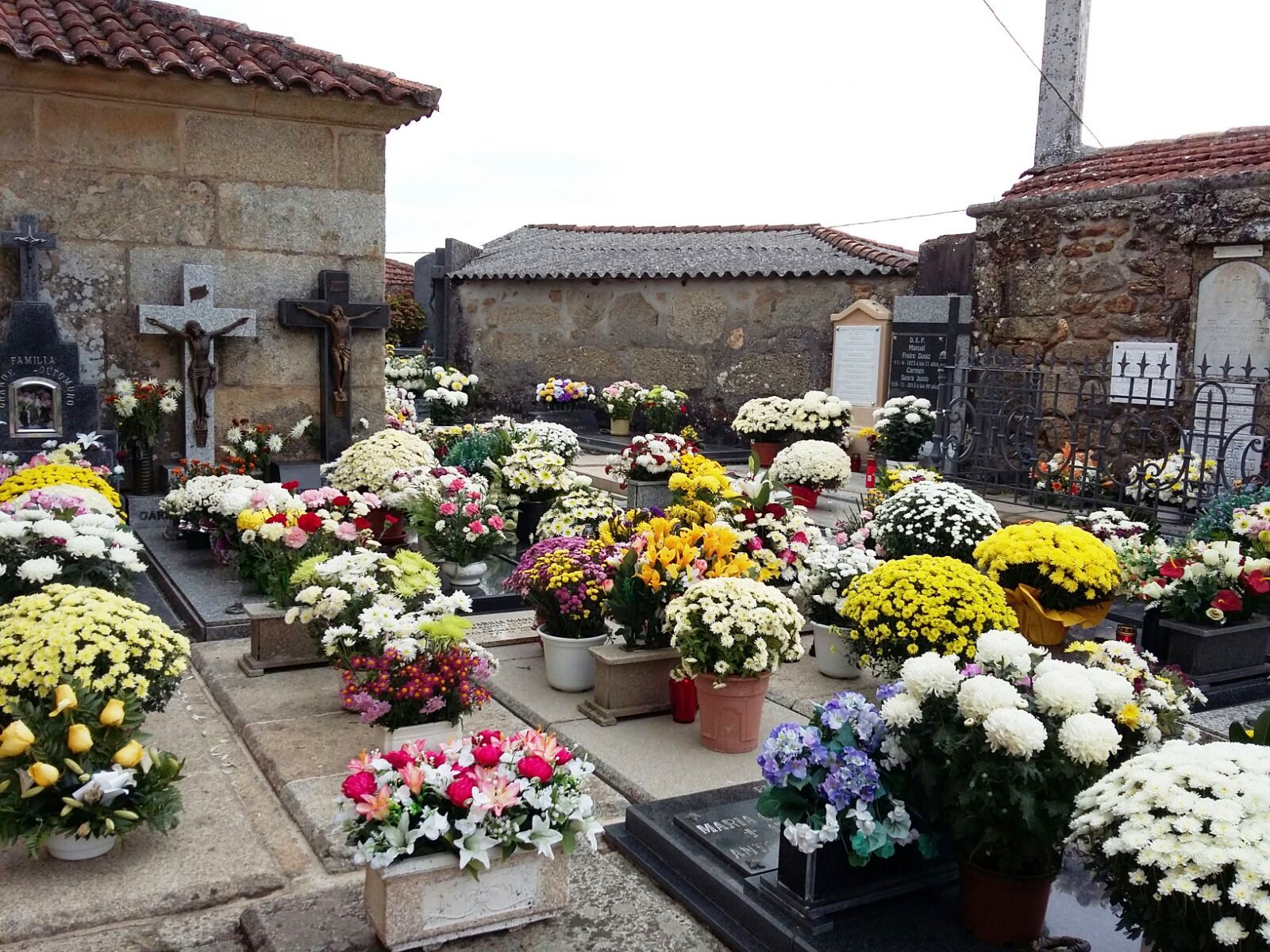 WhatsApp Image 2017-11-01 at 10.58.42